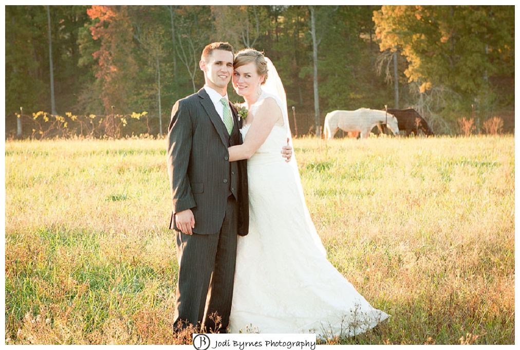 bride and groom horses 