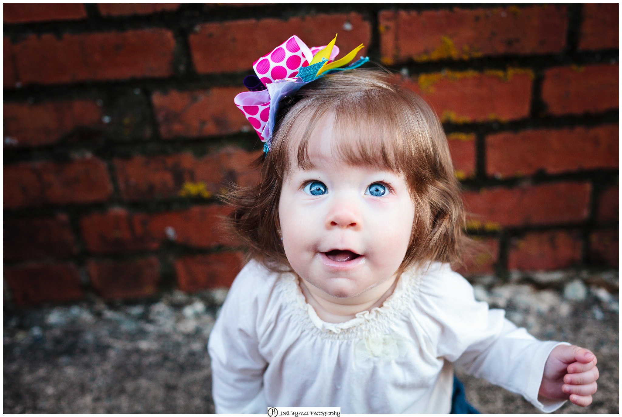 greenville portraits