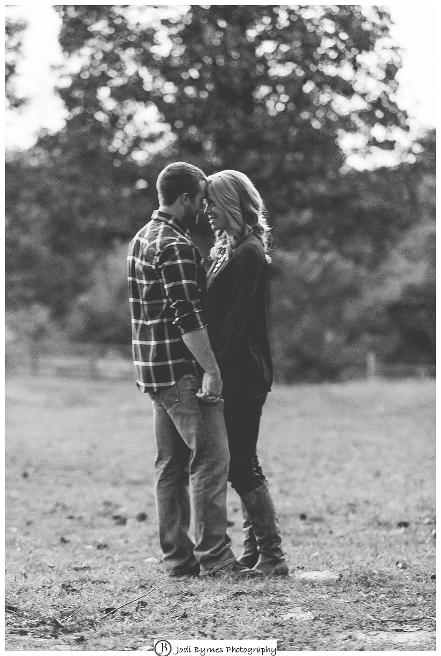 engagement pictures in a field