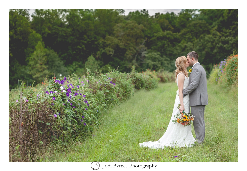 vineyard wedding