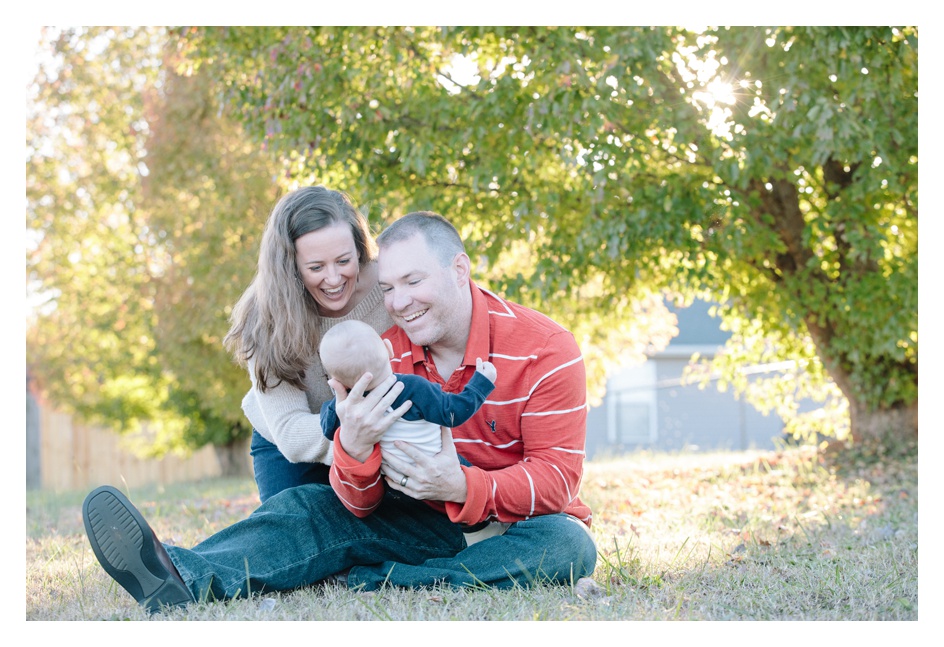 Dog Family Portraits