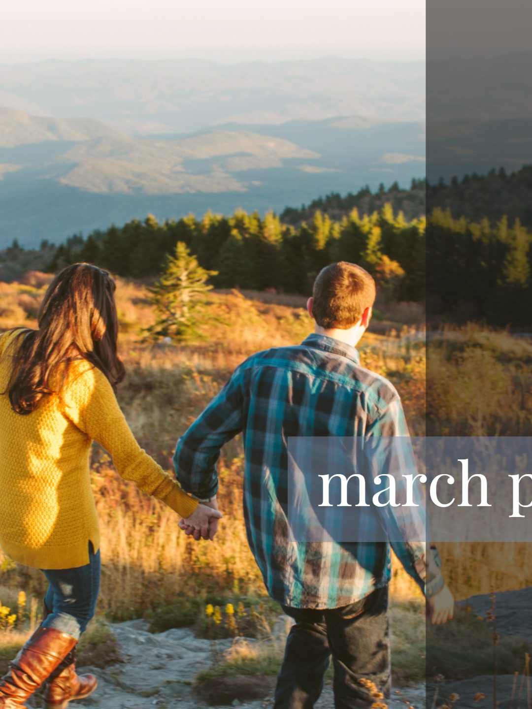 $99 March Portrait Event | Greenville Family Photographer