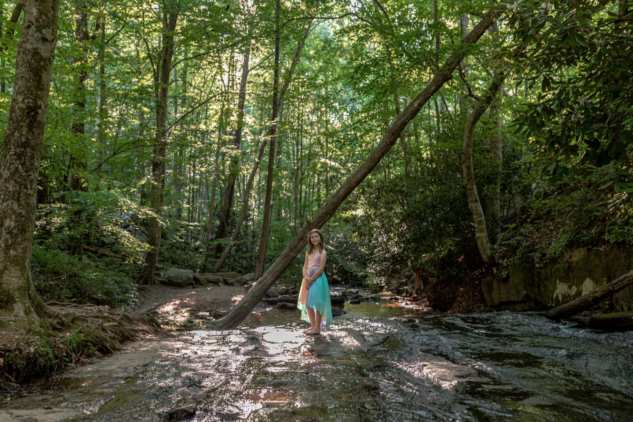 Portraits at the Historic Poinsett Bridge